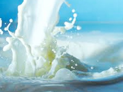 Thanh tra hai doanh nghiệp sữa Thanh tra hai doanh nghiệp sữa