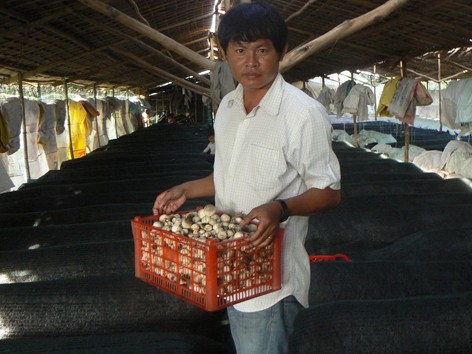 Tỷ phú từ rơm Tỷ phú từ rơm
