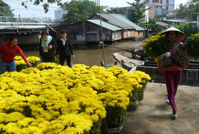 Giá hoa Tết tuột dốc Giá hoa Tết tuột dốc