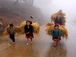 Miền Bắc trời rét, nhiệt độ thấp nhất 11 độ C Ảnh minh họa.