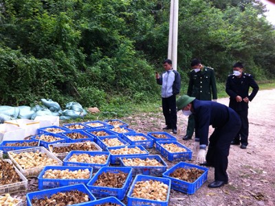 Lo ngại gà lậu bùng phát Lo ngại gà lậu bùng phát