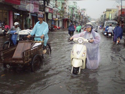 Khổ vì dự án chống ngập Khổ vì dự án chống ngập
