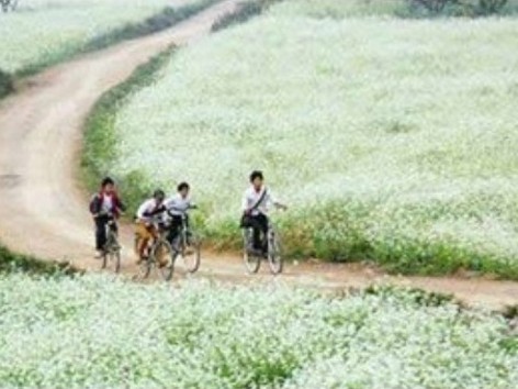 Thư nông dân Mộc Châu mắng dân phượt Thư nông dân Mộc Châu mắng dân phượt