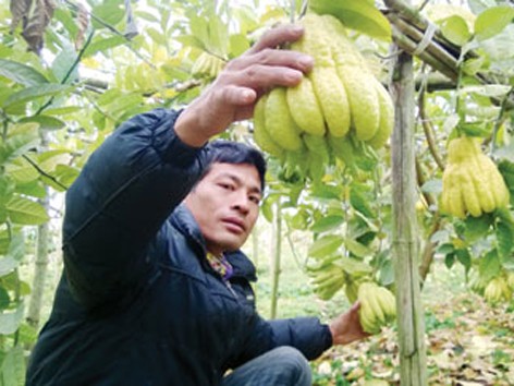 Làng tỷ phú nhờ “bàn tay Phật” Làng tỷ phú nhờ “bàn tay Phật”