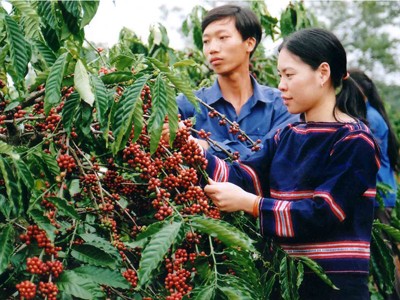 Đại hội Đoàn tỉnh Gia Lai và Kon Tum Đại hội Đoàn tỉnh Gia Lai và Kon Tum