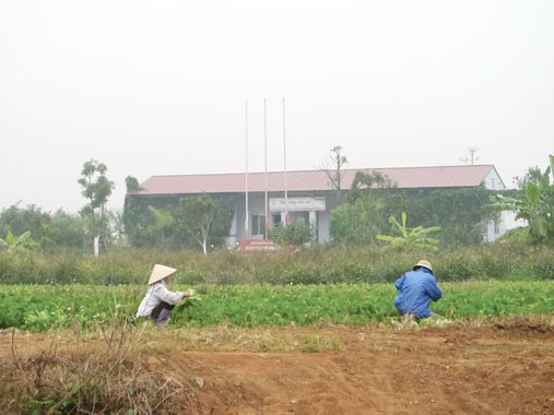 'Siêu đô thị' Mê Linh hoang vu sau 5 năm triển khai 'Siêu đô thị' Mê Linh hoang vu sau 5 năm triển khai