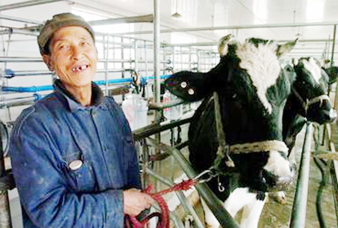 Ngổn ngang nông thôn mới: Bài học từ Trung Quốc Nông dân Trung Quốc được Chính phủ hỗ trợ trực tiếp khi sản phẩm rớt giá. Ảnh: Từ internet