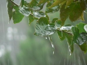Bắc Bộ mưa to do hoàn lưu bão số 2 Bắc Bộ mưa to do hoàn lưu bão số 2