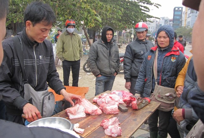 Thịt cá sấu bán đắt như tôm tươi ở chợ Thủ đô Thịt cá sấu bán đắt như tôm tươi ở chợ Thủ đô