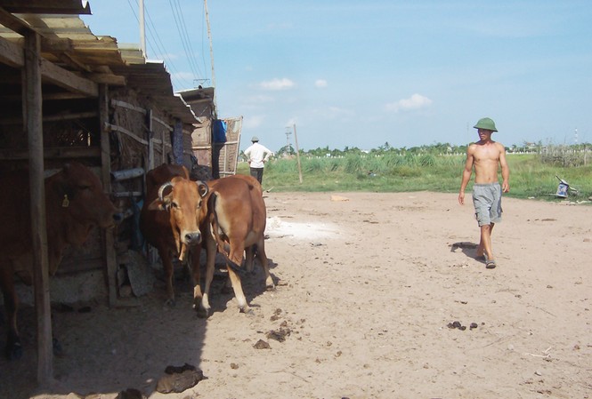 Thanh tra toàn diện Tập đoàn Vinashin Khu công nghiệp tàu thủy Lai Vu (Hải Dương) sau 7 năm triển khai vẫn là bãi đất hoang, giờ được Vinashin chuyển cho PVN
