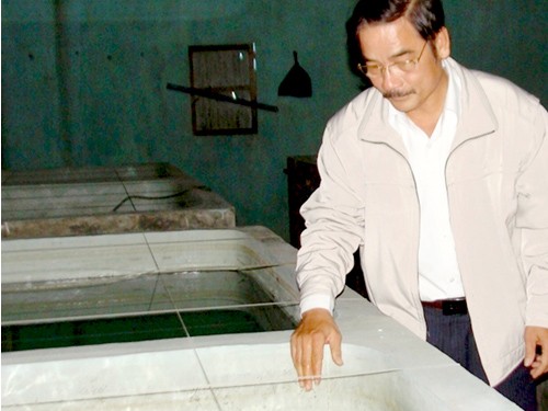 Nuôi cá ngựa vằn thương phẩm Nuôi cá ngựa vằn thương phẩm