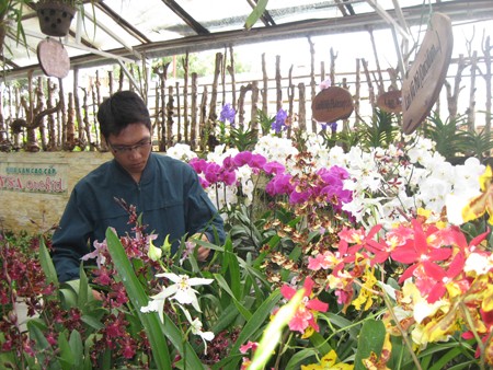 Đón Tết Quý Tỵ bằng... ‘phượt’ Đón Tết Quý Tỵ bằng... ‘phượt’