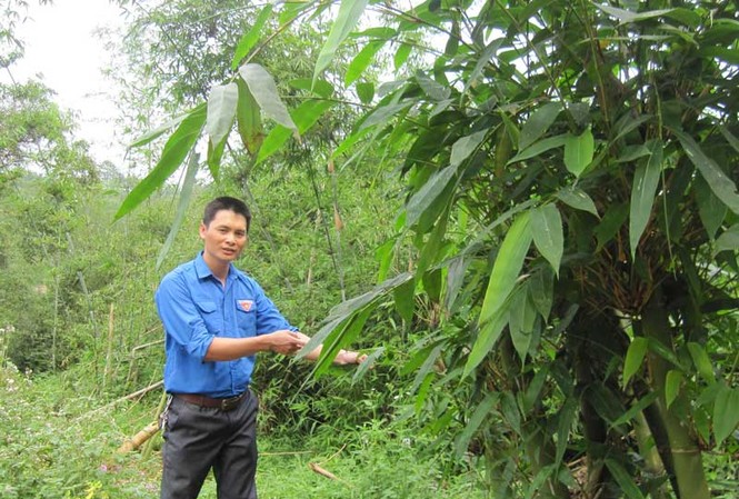 Biên cương xanh Biên cương xanh