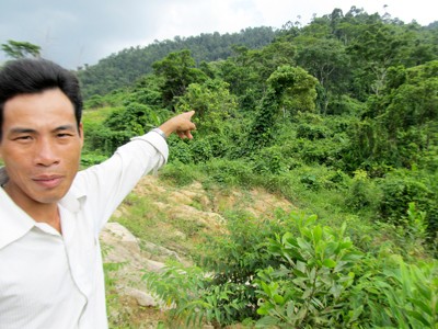 “Tôi ký chủ trương không có nghĩa cho họ phá rừng” “Tôi ký chủ trương không có nghĩa cho họ phá rừng”