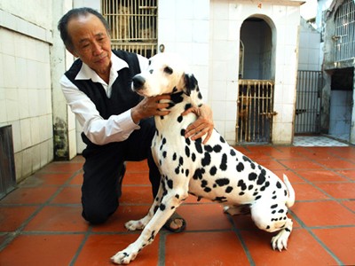 Bi hài đại gia bán chó, người nghèo cầm cố ... răng Bi hài đại gia bán chó, người nghèo cầm cố ... răng
