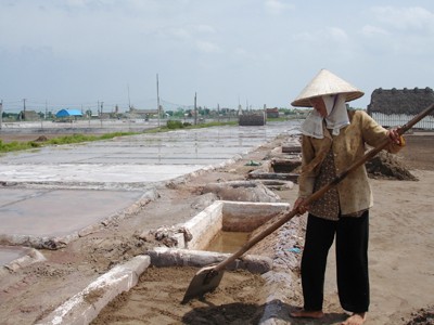 Làm muối đảm bảo có lãi 20 - 30% Làm muối đảm bảo có lãi 20 - 30%