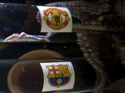 ‘Truyền nhân’ bạch tuộc chọn M.U vô địch Champions League ‘Truyền nhân’ bạch tuộc chọn M.U vô địch Champions League