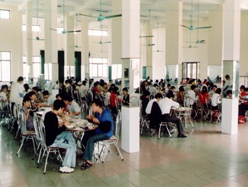 Sinh viên được trưởng khoa mời cơm trưa miễn phí Sinh viên được trưởng khoa mời cơm trưa miễn phí
