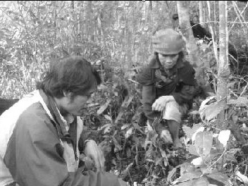 Lá kim cương cạn kiệt, người dân vẫn đổ xô săn tìm Lá kim cương cạn kiệt, người dân vẫn đổ xô săn tìm