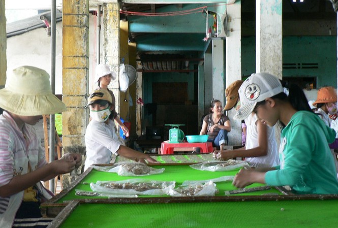 Tuổi thơ bị đánh cắp: Bài 1 Vào lò lao động nhí Lao động nhí tại cơ sở chế biến cá bò trong HTX Điện Phước II