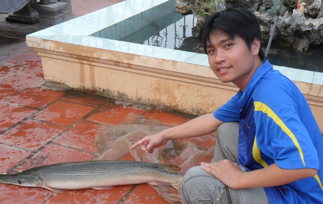 Bắt được cá lạ ở Bắc Giang Bắt được cá lạ ở Bắc Giang