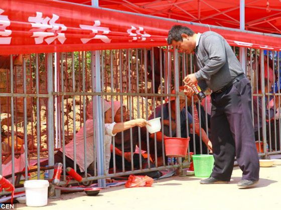 Tự nhốt mình trong lồng sắt để ...ăn xin Tự nhốt mình trong lồng sắt để ...ăn xin