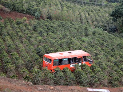 Xe buýt lao xuống vực, 3 người thương vong Xe buýt lao xuống vực, 3 người thương vong