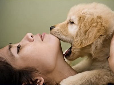 Nghi bạn gái không chung thủy, bắt làm 'chuyện ấy' với... chó Nghi bạn gái không chung thủy, bắt làm 'chuyện ấy' với... chó