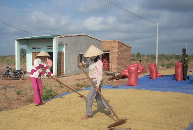 Làng thanh niên vùng biên ải Làng thanh niên đang đổi mới từng ngày