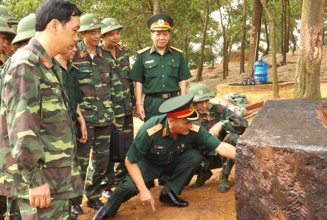 649 học viên tham dự kỳ thi tốt nghiệp năm 2013 649 học viên tham dự kỳ thi tốt nghiệp năm 2013