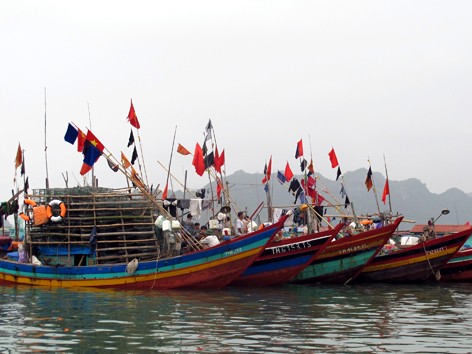 Xử lý rủi ro, tranh chấp nghề cá trên biển Xử lý rủi ro, tranh chấp nghề cá trên biển