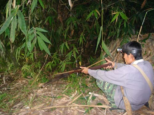 Hè độc của teen: Đi săn chuột đá Hè độc của teen: Đi săn chuột đá