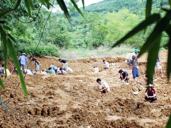 Săn đá trắng và những cuộc hỗn chiến Săn đá trắng và những cuộc hỗn chiến