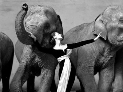 Hơn hai mốt tỷ đồng cho bức ảnh của Richard Avedon Hơn hai mốt tỷ đồng cho bức ảnh của Richard Avedon