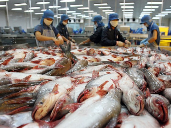 Chính phủ ra nghị quyết 'cứu' doanh nghiệp Các doanh nghiệp sản xuất hàng xuất khẩu cần được hỗ trợ về vốn vay Ảnh: H.V