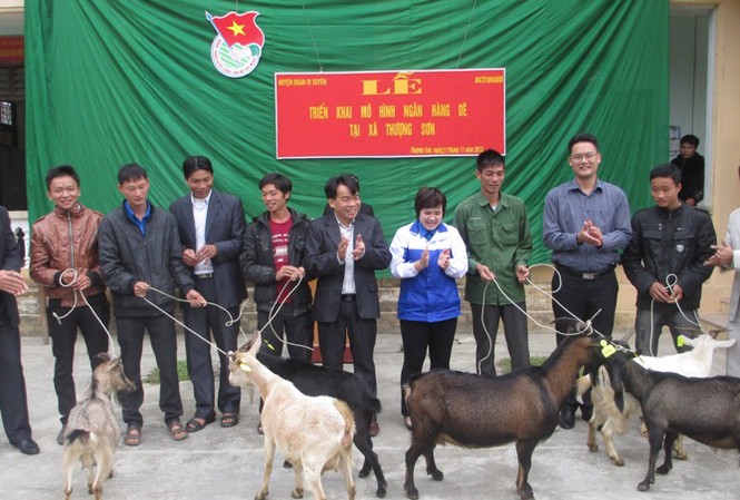 Phát triển Ngân hàng dê cho đoàn viên thanh niên Phát triển Ngân hàng dê cho đoàn viên thanh niên