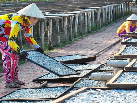 Khô cá đón Tết Khô cá đón Tết