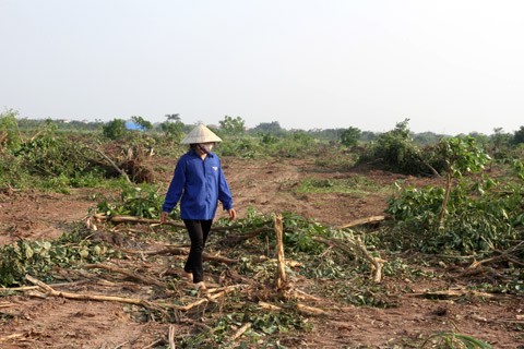 Cưỡng chế sai luật, chủ tịch xã phải bồi thường cho dân Cưỡng chế sai luật, chủ tịch xã phải bồi thường cho dân