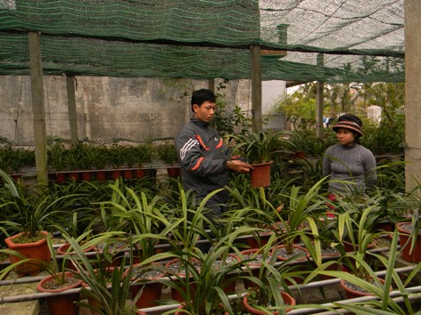 Chàng trai tật nguyền kiếm trăm triệu từ lan Chàng trai tật nguyền kiếm trăm triệu từ lan
