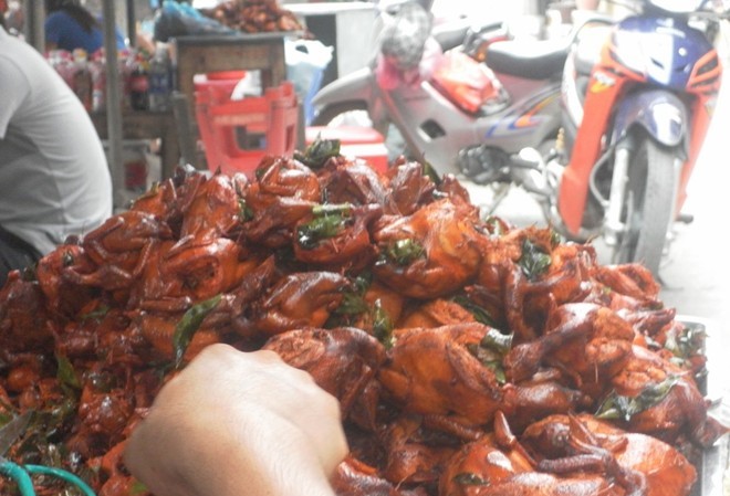 Chim quay Ninh Hiệp có màu gạch non nhờ... bột sắt Chim quay Ninh Hiệp có màu gạch non nhờ... bột sắt