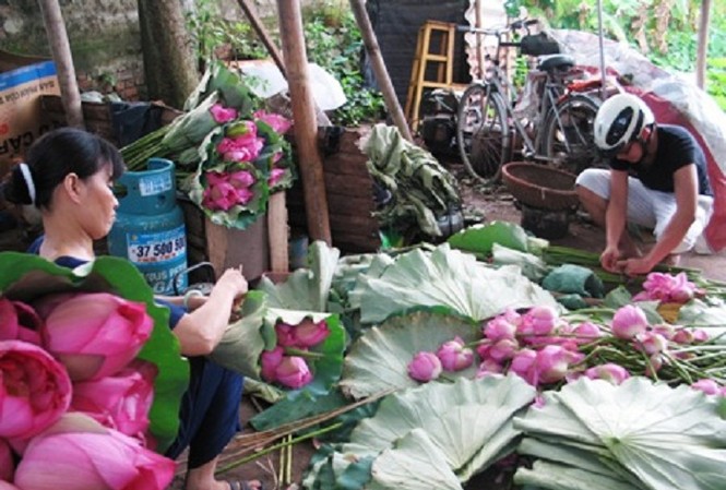 'Chặt chém' ở đầm sen Hồ Tây 'Chặt chém' ở đầm sen Hồ Tây