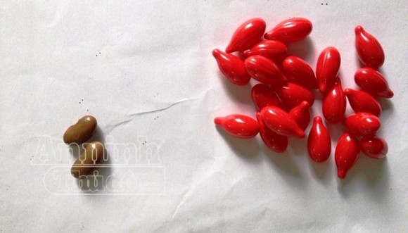 Đuổi việc y tá phát nhầm vitamin A bằng hạt đậu Đuổi việc y tá phát nhầm vitamin A bằng hạt đậu