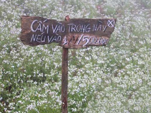 Phượt và nỗi lo bị đồng bào 'đuổi thẳng cổ' Phượt và nỗi lo bị đồng bào 'đuổi thẳng cổ'