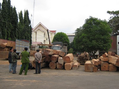 'Điểm danh' lâm tặc phá rừng 'Điểm danh' lâm tặc phá rừng