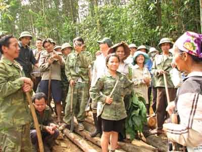 Hàng chục hécta rừng bị tàn phá Hàng chục hécta rừng bị tàn phá