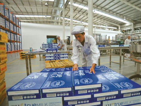 Cơ hội “vàng” cho sữa nội Cơ hội “vàng” cho sữa nội