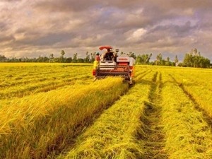 EU tiếp tục cam kết tài trợ gần 1 tỷ USD cho Việt Nam EU tiếp tục cam kết tài trợ gần 1 tỷ USD cho Việt Nam