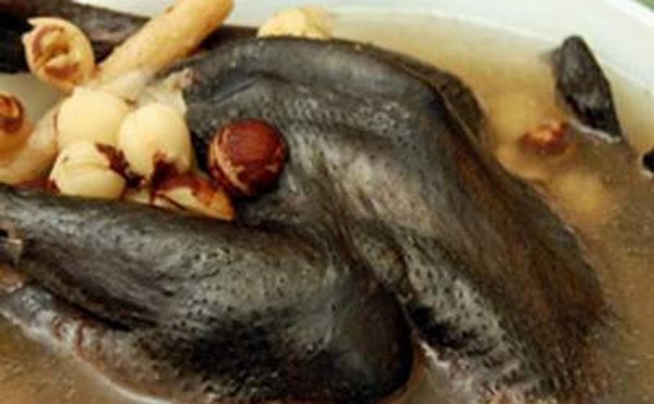 Món ăn chữa 'bệnh khó nói' của quý ông Món ăn chữa 'bệnh khó nói' của quý ông