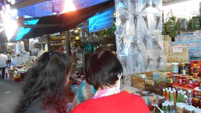 Những chiêu trò quanh bình 'hải mã tửu' Năm Giáp Ngọ 2014 này là năm loài ngựa cầm tinh nên các món ăn chơi liên quan đến loài này cũng được bá tánh "chiếu cố" rầm rộ. Săn các mẻ cao ngựa được quảng cáo ầm ĩ giữa đời thực và trên các trang mạng ảo chưa đã, nhiều người còn tích cực săn cá ngựa h