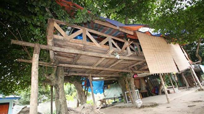 Kỳ dị người đàn ông làm nhà trên cây để cai nghiện “Tư gia” của Giang cách mặt đất gần 3m.